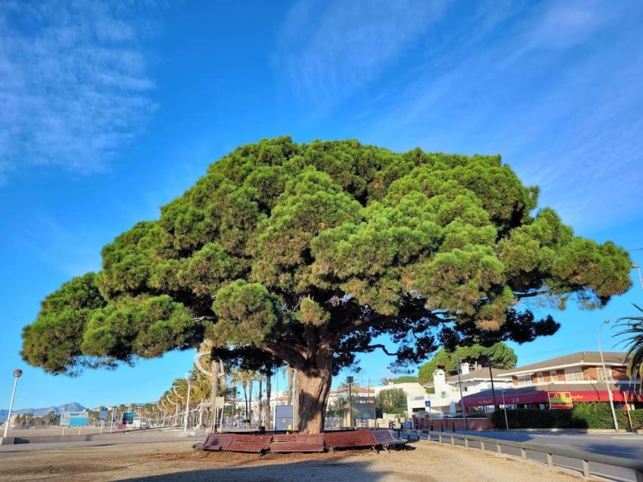 Cambrils Dulces Suenos Exterior foto